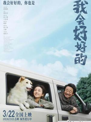沙洲之上 封面